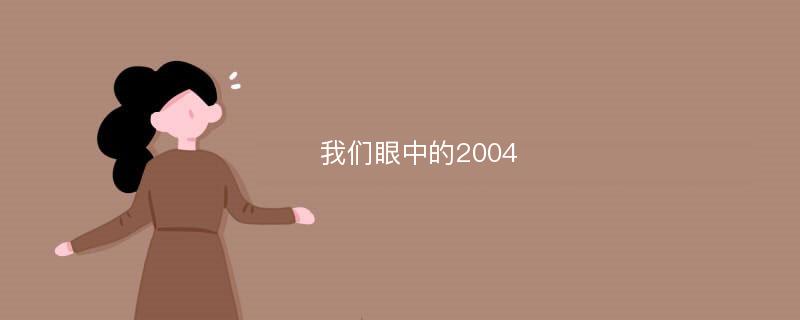 我们眼中的2004