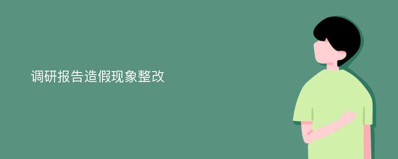 调研报告造假现象整改