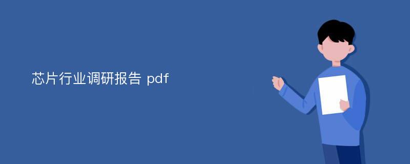 芯片行业调研报告 pdf