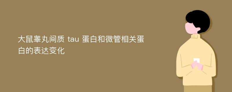 大鼠睾丸间质 tau 蛋白和微管相关蛋白的表达变化