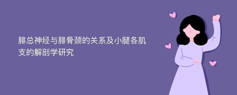 腓总神经与腓骨颈的关系及小腿各肌支的解剖学研究