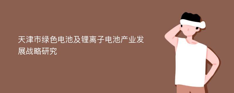 天津市绿色电池及锂离子电池产业发展战略研究